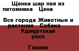 Щенки шар-пея из питомника › Цена ­ 15 000 - Все города Животные и растения » Собаки   . Удмуртская респ.,Глазов г.